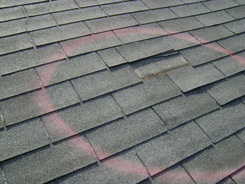roof inspection companies near me